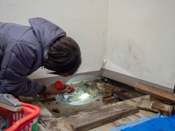 Best Mold Documentation for Insurance Claims  in Weyauwega, WI