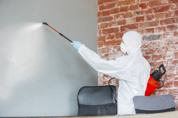 Best Post-Remediation Verification Testing  in Weyauwega, WI