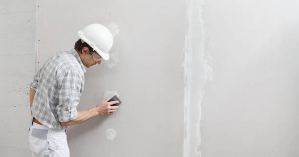 Best Mold Removal for HVAC Installations  in Weyauwega, WI