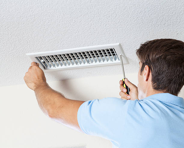 Best Environmental Consulting for Mold Prevention  in Weyauwega, WI